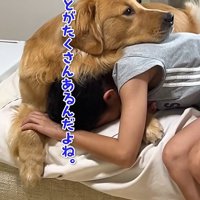 子供に寄り添う大型犬