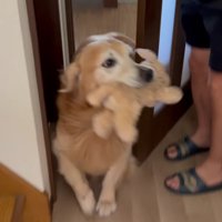 「寂しかった～」