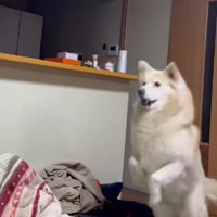 強力なスヌーズ機能も！？