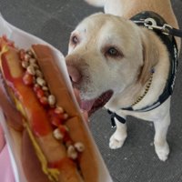 今ではこんなに幸せ犬に！！
