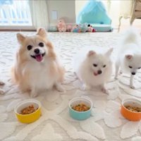 個性溢れる