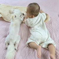 寝ても起きても一緒！