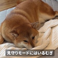 優しく見守っていたら…