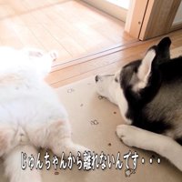 傍から離れない…