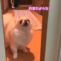 「絶対日曜に入れろよ！約束だからな！」