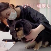 完全に夢の中へ…