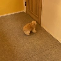 ワクワクが止まりません