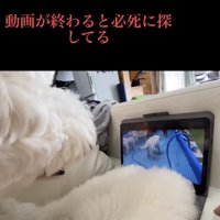 今でも会いたいよ