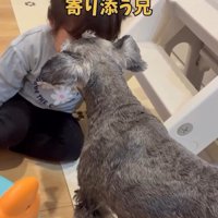 女の子に寄り添うこたろう君6