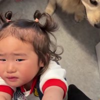 心配でたまらない…