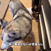 赤ちゃんの護衛もします
