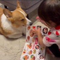 いなり君に読み聞かせをする女の子2