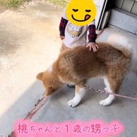 桃ちゃんをなでる男の子