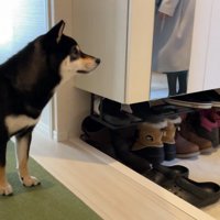 ママさんをお見送り