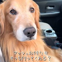 明らかにいじけている