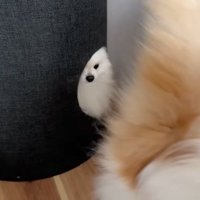 立ち去ってしまいました