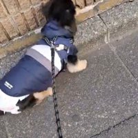 シニアライフを満喫した