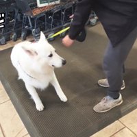 怖がって拒否！