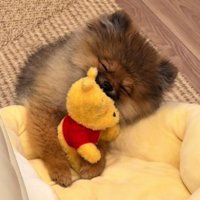 気持ちよさそうにスヤスヤ…