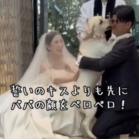 新郎に飛びついている犬