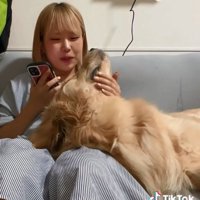 優しい飼い主さん