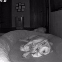 帰りたくてたまらない！！