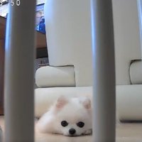 気のせいか