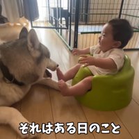 リビングでくつろぐ犬と赤ちゃん