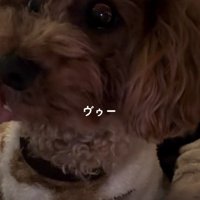 家とのギャップに爆笑！？