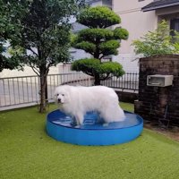微動だにしないミントくん