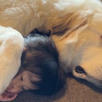 シュシュが寝かしつけ