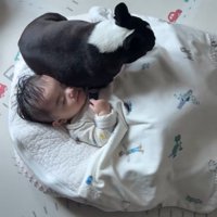 こんぶちゃんと赤ちゃん4