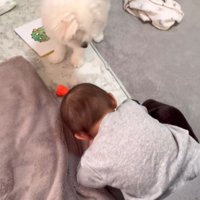 リリちゃんと赤ちゃん8