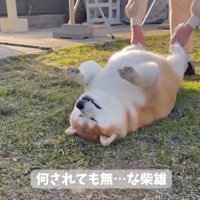後ろ足を揺らすおばあちゃん