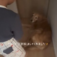 起き上がる男の子