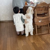 背丈