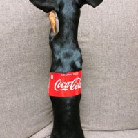 スタイル抜群な姿に感嘆！！