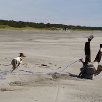 プットくんと海辺を走ったら