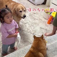 「ほのちゃんに貸してあげて！」