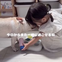 「おかえりなさい」