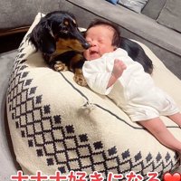 赤ちゃんと犬2