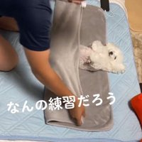 おくるみの下側をかける