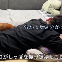 しっぽを振ってじゃれるチョコちゃん