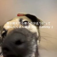 運命の出会いだったのかも！