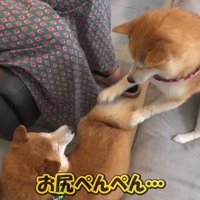 お尻ペンペン！