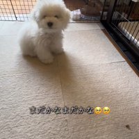 オヤツを食べたくてウズウズ…