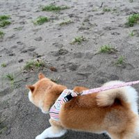 砂浜でも遊べたよ♪