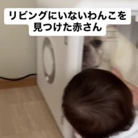 ドライヤーハウスを購入