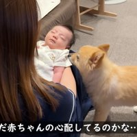 「疲れちゃった？」とまだ心配…