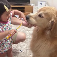 おからちゃんもじっと見守り